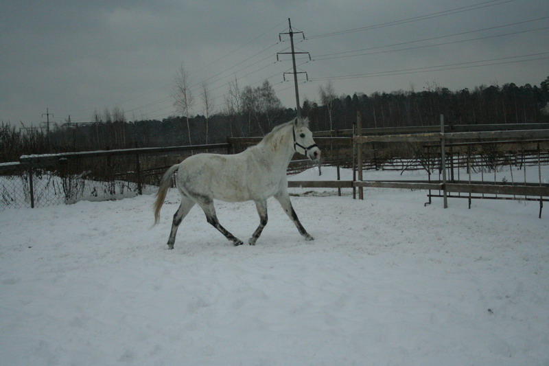 IMG_1572.jpg1.jpg"%20height="533"%20width="800